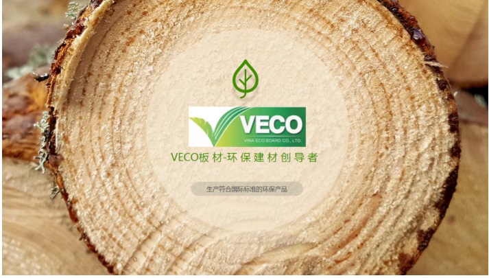 VECO 臻源板与花样年华品牌强强联合 全新环保板材花色系列(图6)