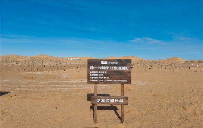“真的种一波新绿”林氏家居助力沙漠绿洲计划(图3)