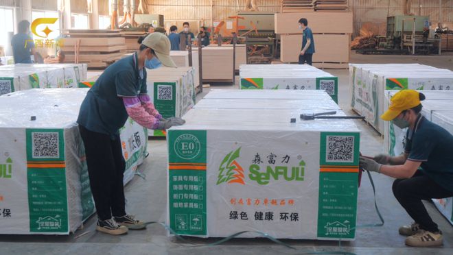 再度上榜森富力板材斩获2025中品榜“家具板十大品牌”荣誉称号(图3)