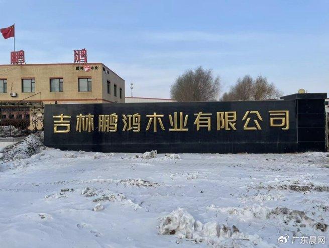 揭秘板材十大品牌2025年排名：品质与创新成制胜关键(图1)