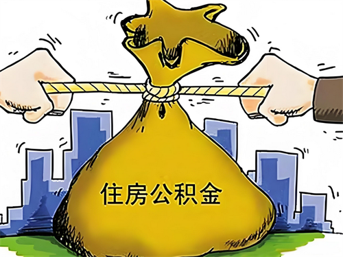 装饰板材的种类和价格有哪些(图1)