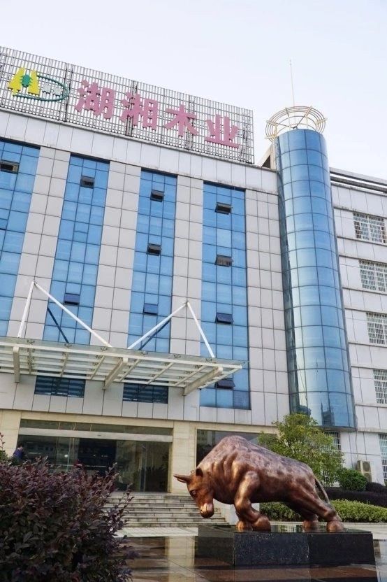 板材十大品牌排名2025权威揭晓：环保黑马与老牌劲旅谁能登顶？(图1)