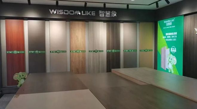 一线品牌智慧象板材：以匠心工艺构筑绿色健康家居新典范(图6)