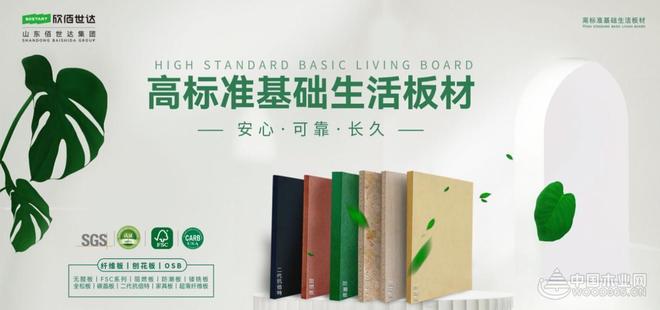 山东佰世达深度参与GB 18580人造板甲醛释放限量标准修订(图4)
