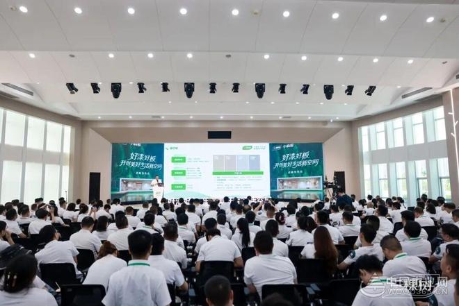专访三棵树小森板林承亮：好漆好板重构美学空间 实现逆势突围(图1)