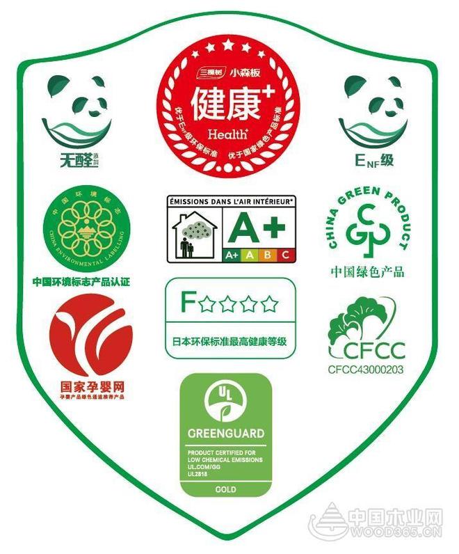 专访三棵树小森板林承亮：好漆好板重构美学空间 实现逆势突围(图5)