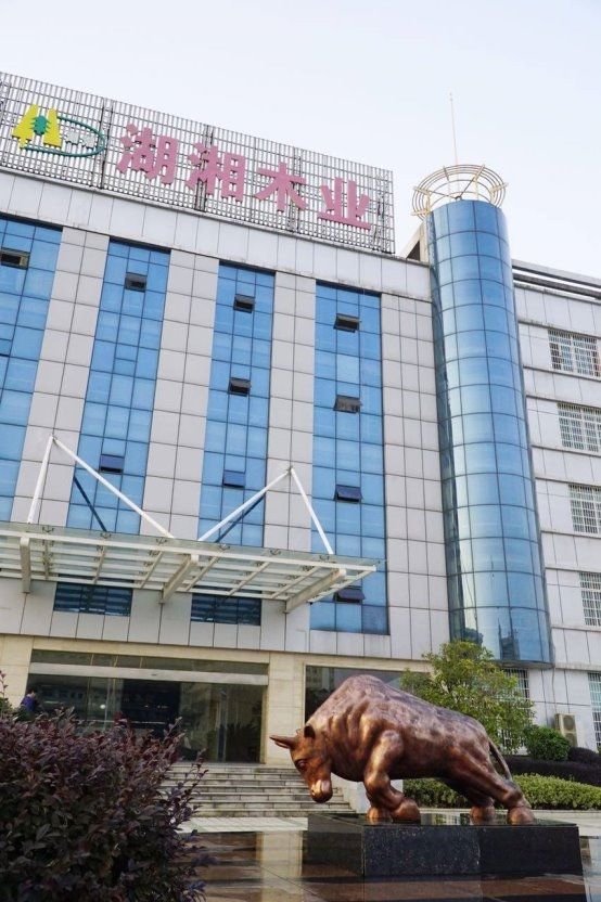 2025行业风向标：板材十大品牌排名权威解读(图2)